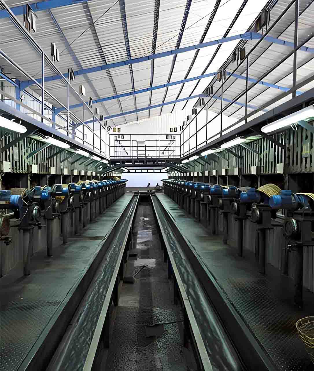 PT Royal Coconut Kawangkoan